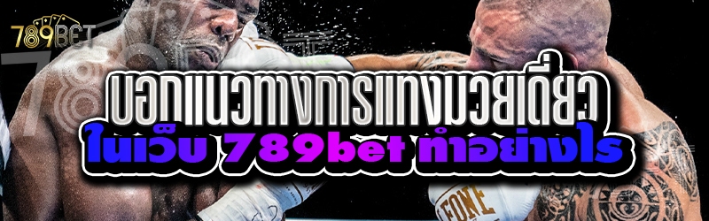 บอกแนวทางการแทงมวยเดี่ยว ในเว็บ 789bet ทำอย่างไร